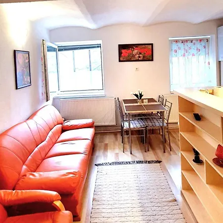 Castelului 1 Braşov Room photo